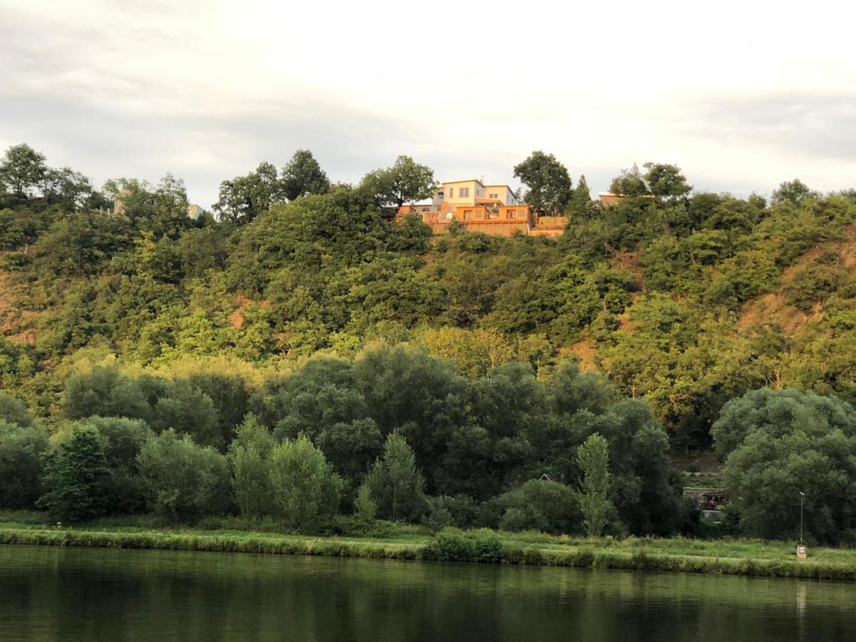Apartman - E - Vyhlidka Nad Rekou Zdiby Exterior foto
